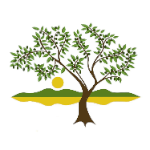 Alta Cresta Olive Orchard